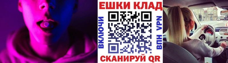 omg как зайти  Плёс  Ecstasy Punisher 