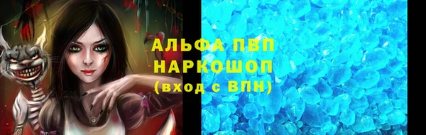 ПСИЛОЦИБИНОВЫЕ ГРИБЫ Лихославль