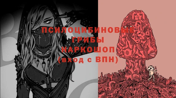 ПСИЛОЦИБИНОВЫЕ ГРИБЫ Лихославль