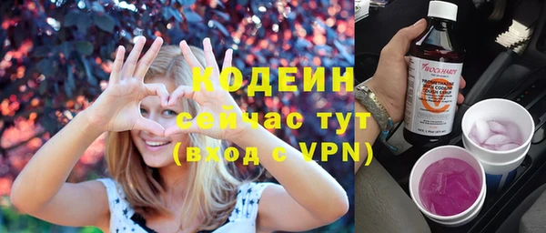 гашик Липки