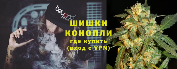 гашик Липки