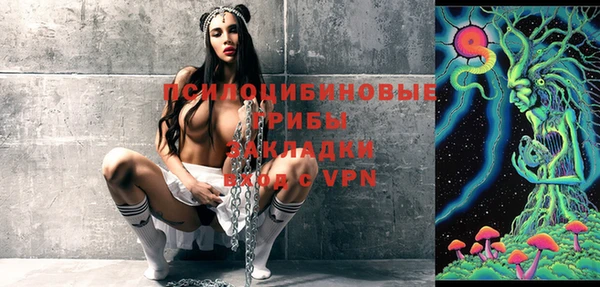 ПСИЛОЦИБИНОВЫЕ ГРИБЫ Лихославль
