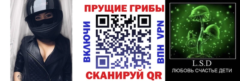 Псилоцибиновые грибы Cubensis  цены   Плёс 